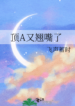 novelimage (1)